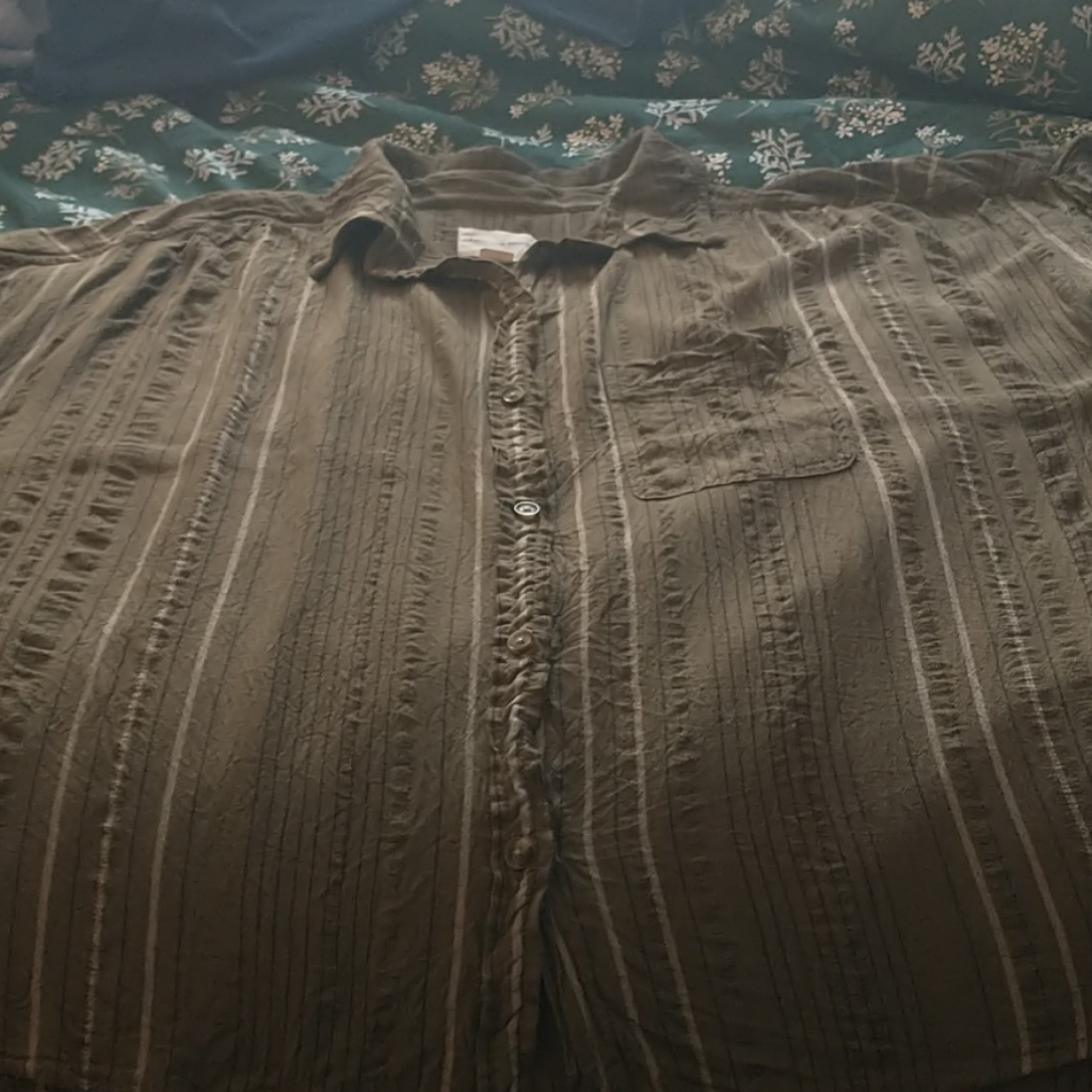 American Eagle Collar Button Down
